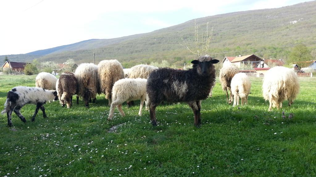 Gacka Valley Licko Lesce Екстер'єр фото