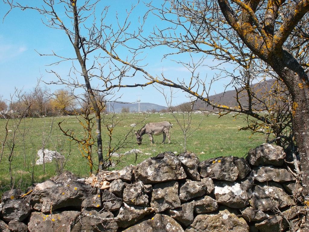 Gacka Valley Licko Lesce Екстер'єр фото